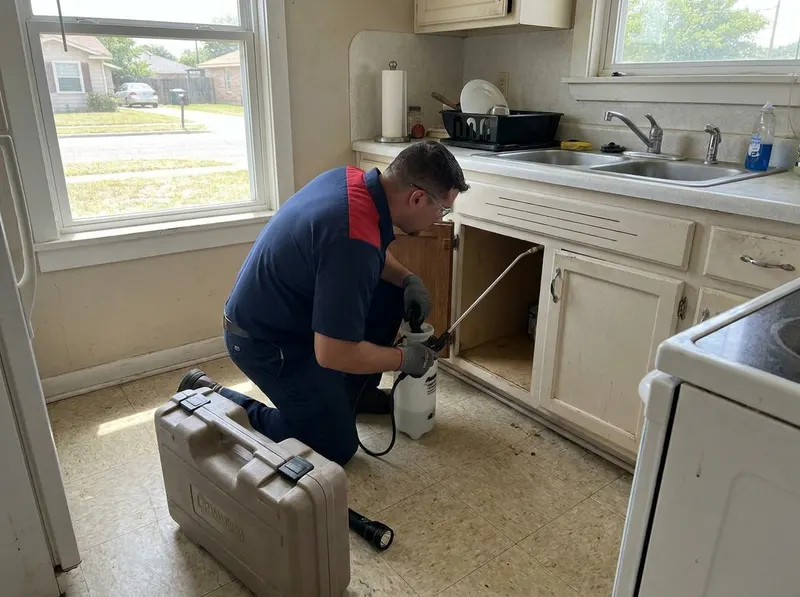 Cockroach Eradication in Corpus Christ, TX